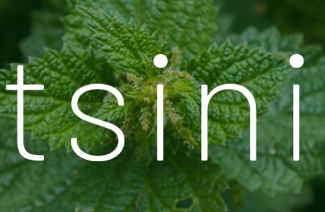 Tsini