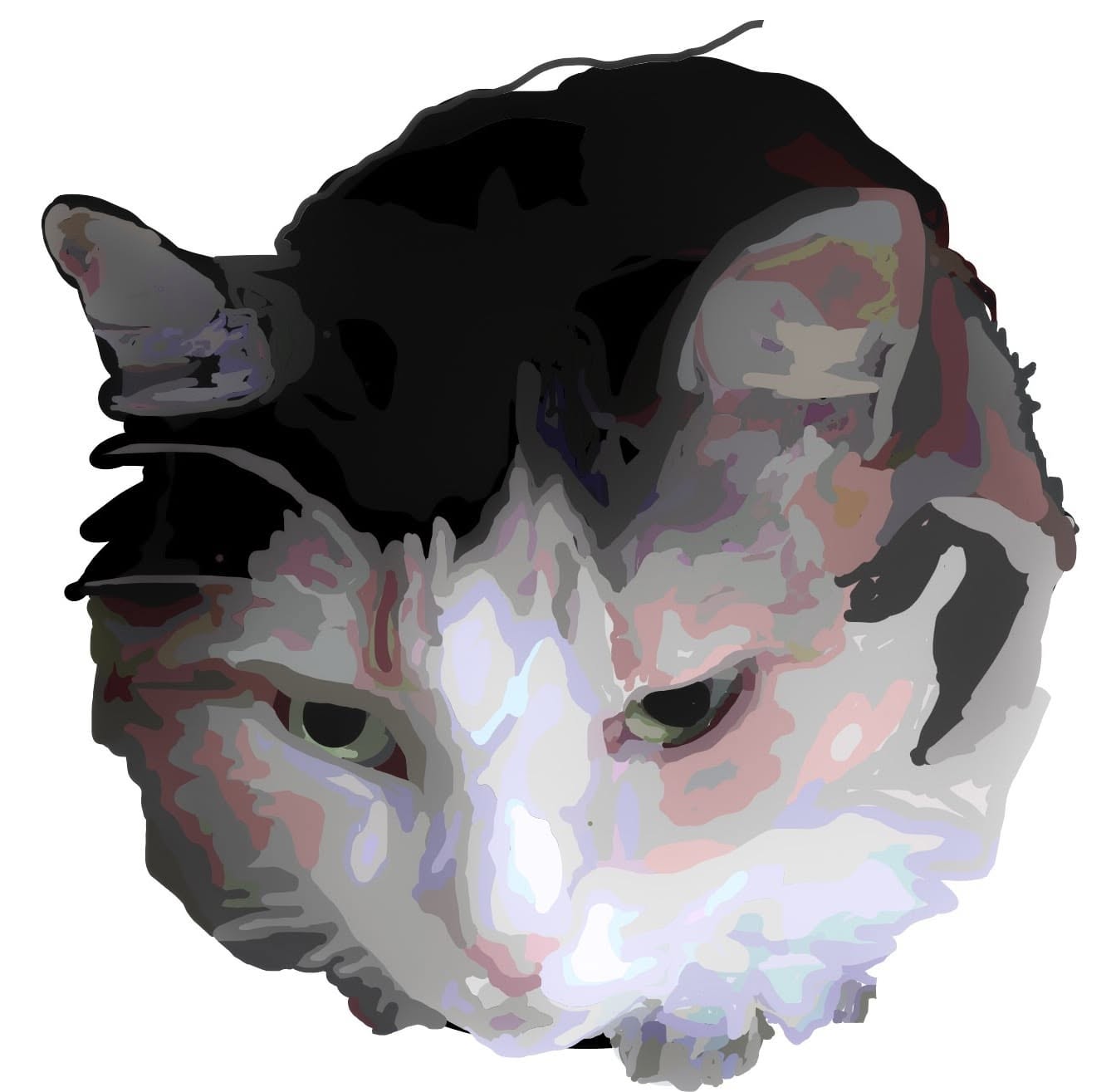 Logo for Hello Fluff